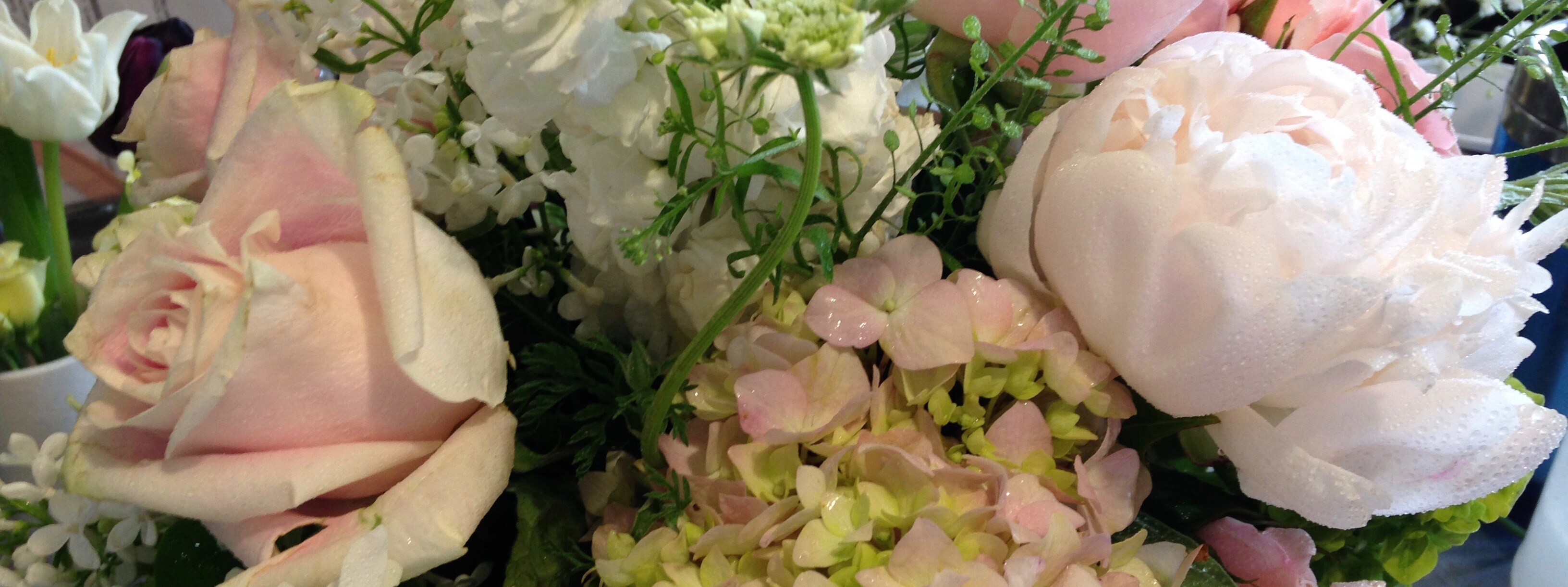 Flowers On The Green Boston Post Road Guilford Ct Best Flower Site